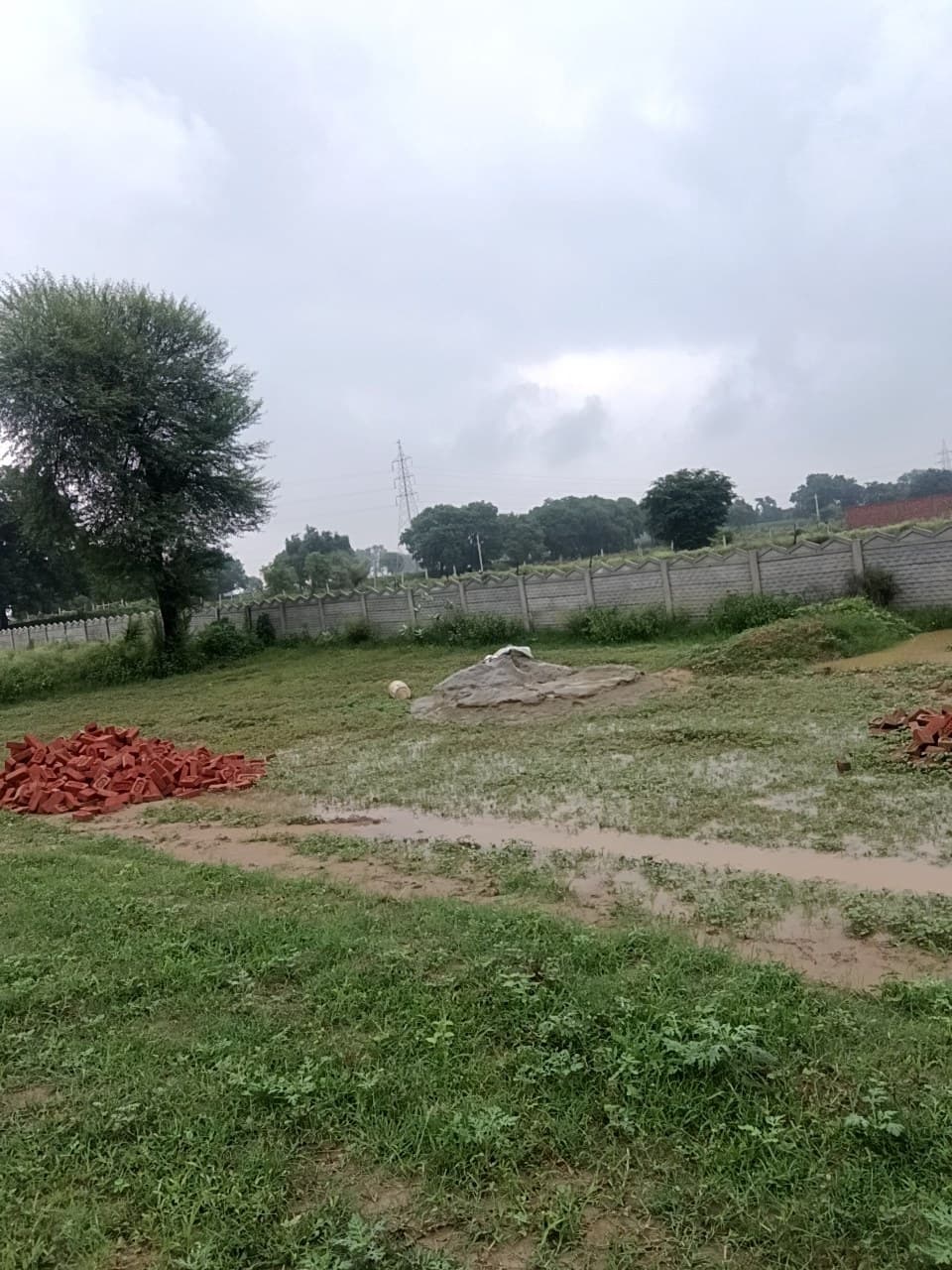 Plot photo 1