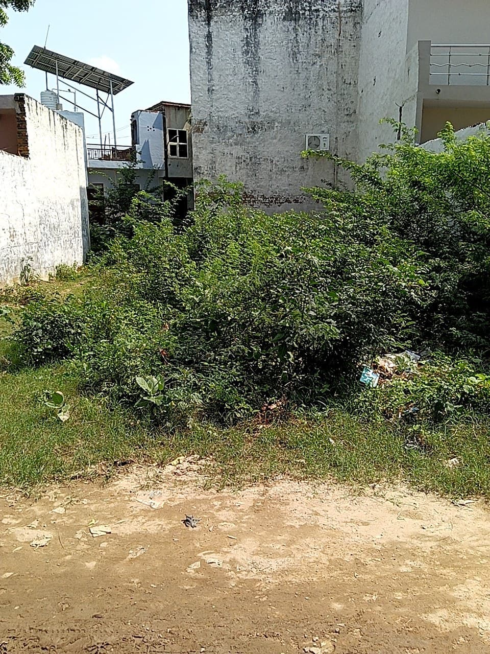 Plot photo 1