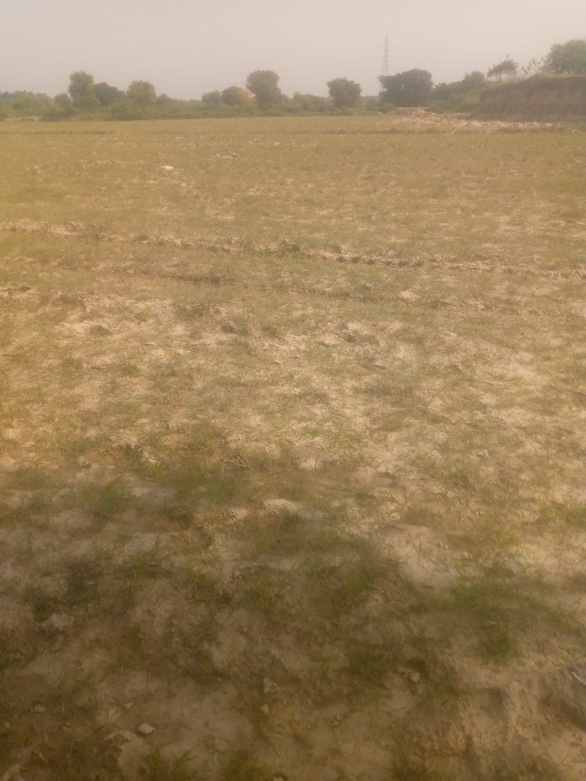 KHET 10 BIGHA