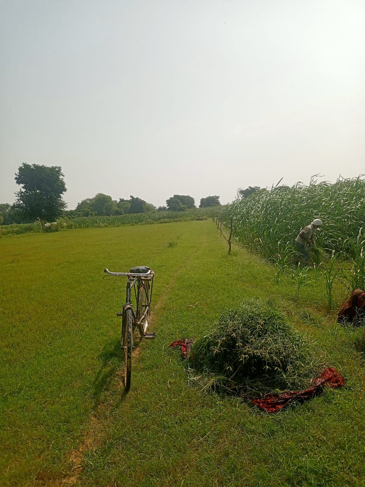 Khet photo 1