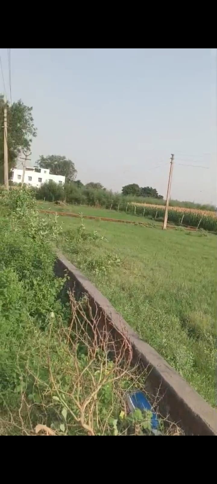 LAND