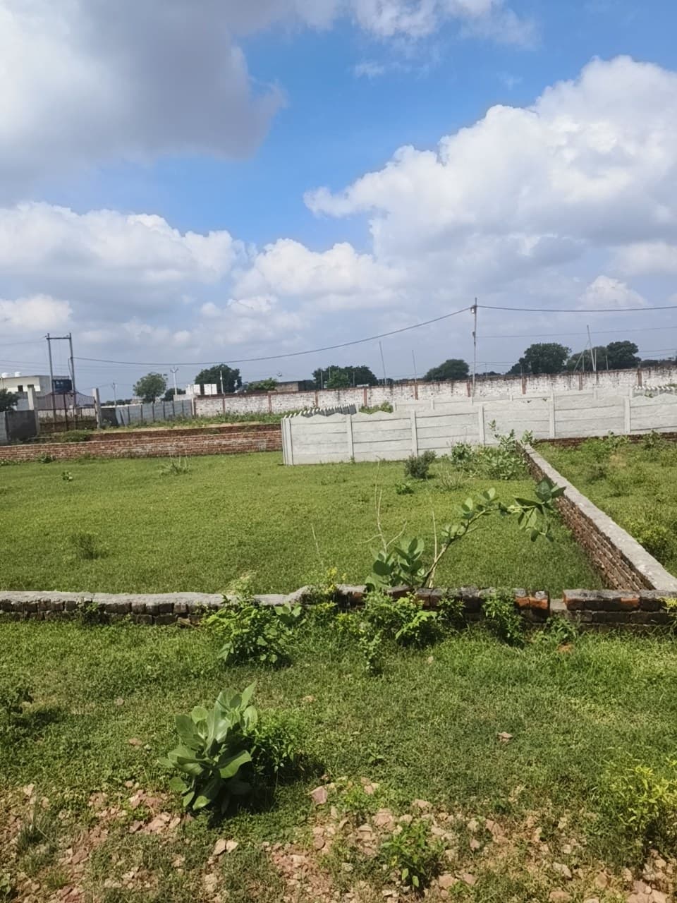 PLOT photo 1