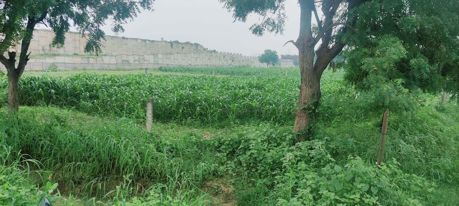 PLOTS photo 1