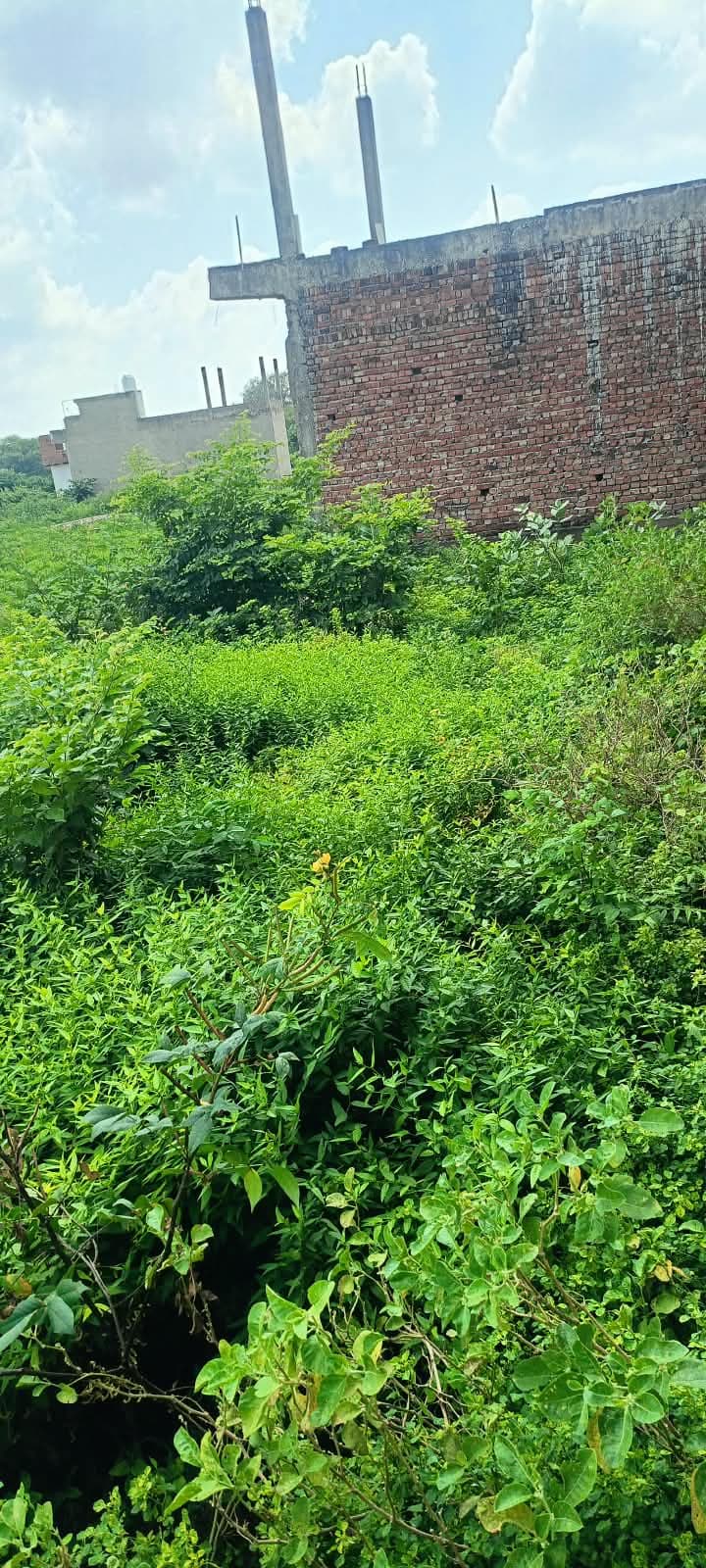 Plot photo 1