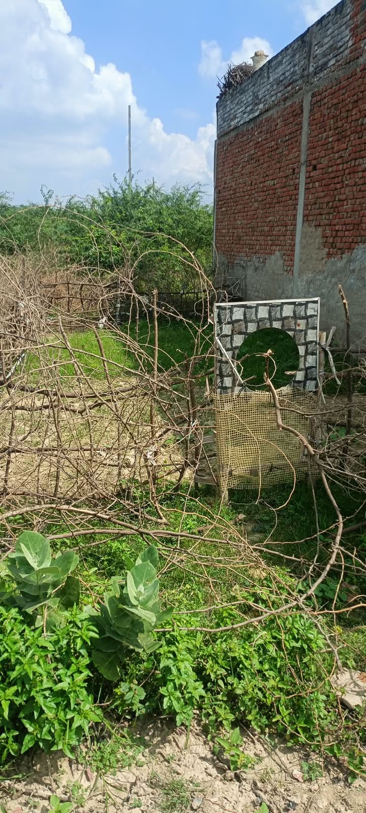 Plot photo 2