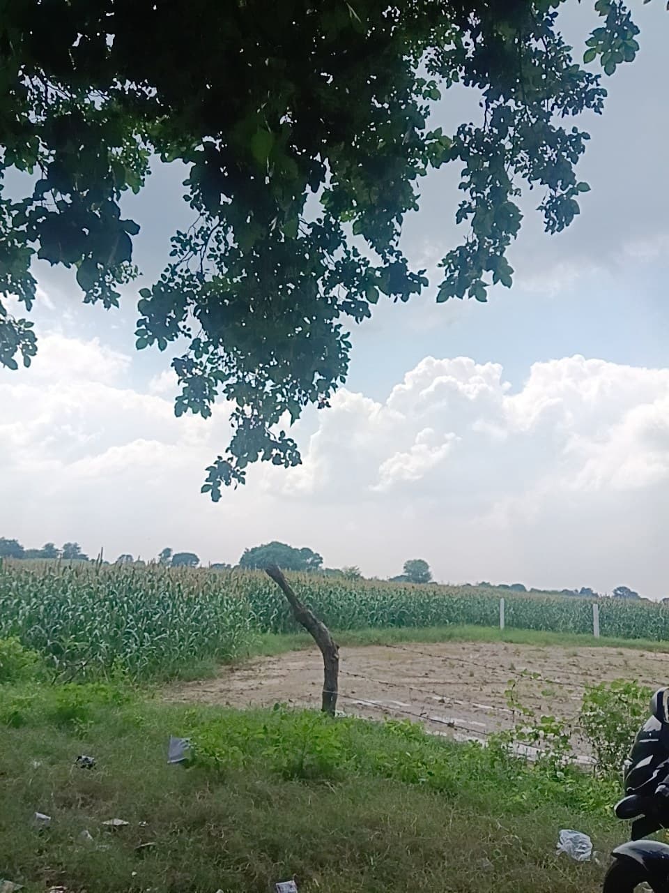 खेत photo 1