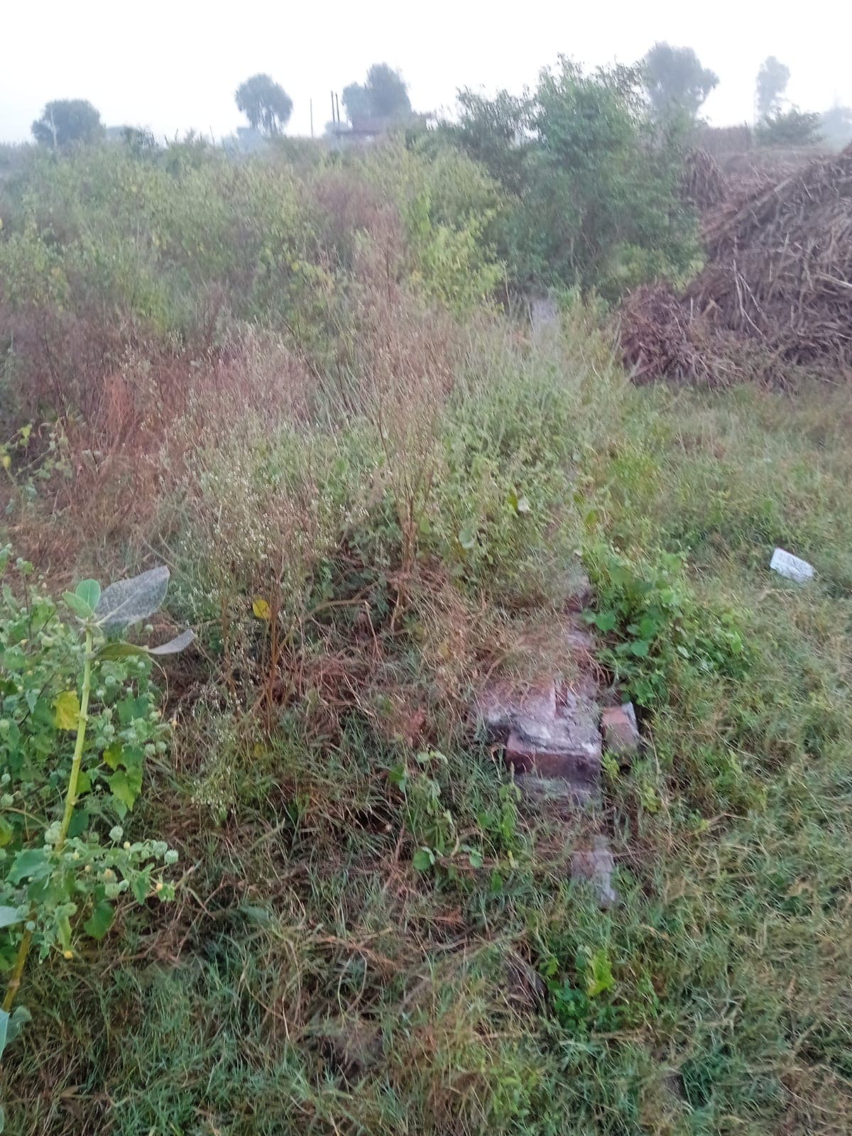 Plot (750 Gaj) photo 2