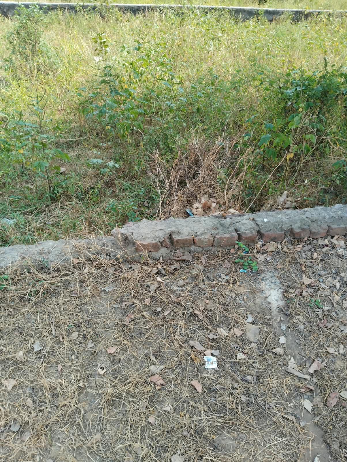 Plot photo 2