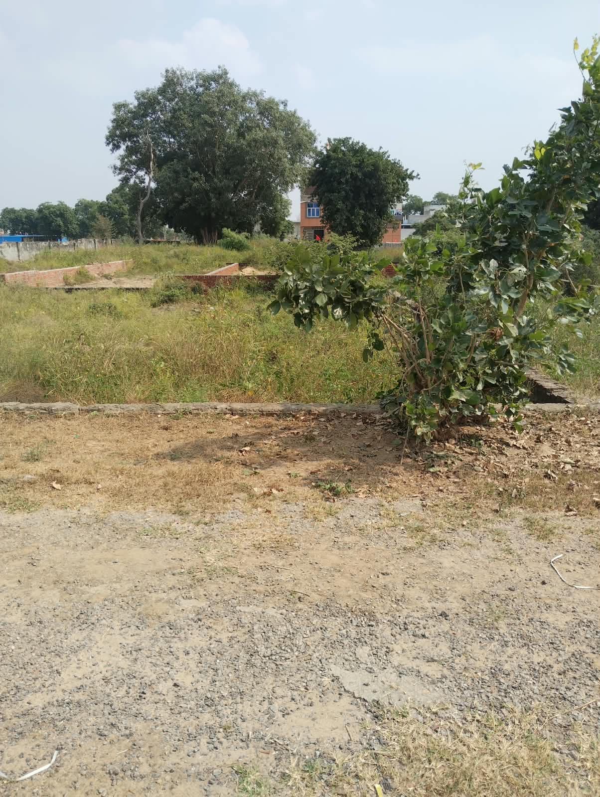 Plot photo 3